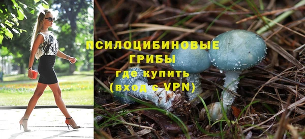 молекула духа Приозерск