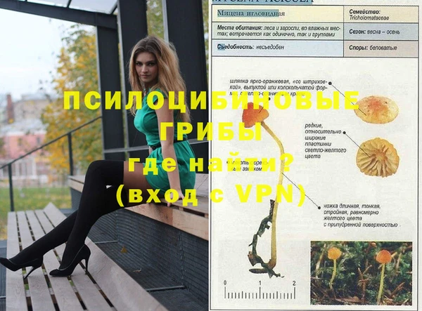 молекула духа Приозерск