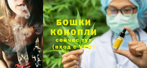молекула духа Приозерск
