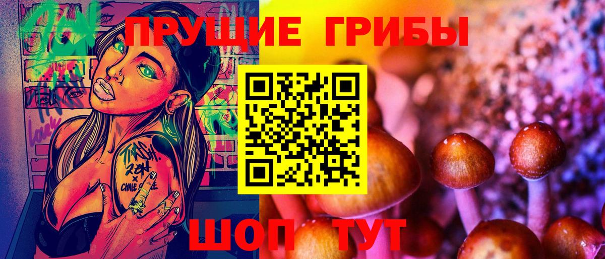 Галлюциногенные грибы Psilocybe Магнитогорск